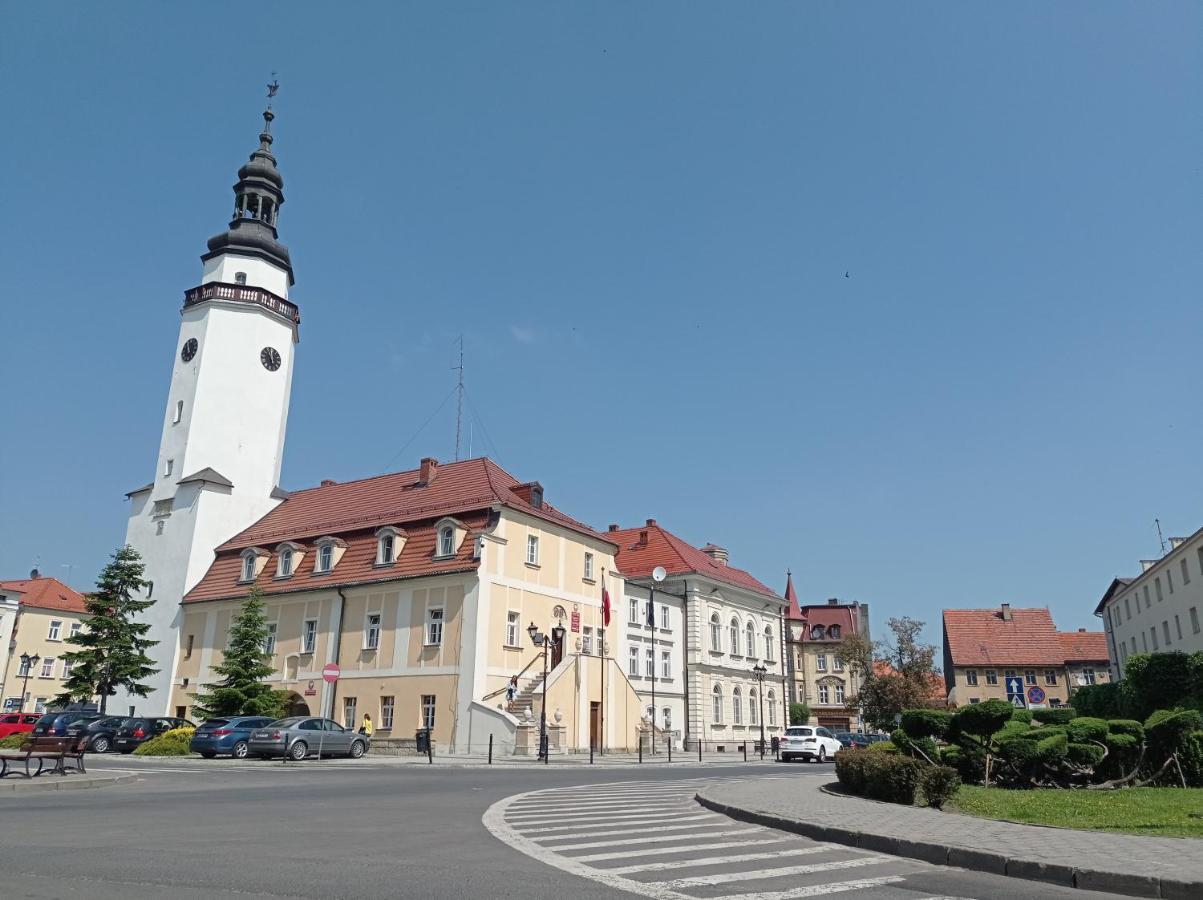 Babcares Apa Gory Izerskie Appartement Mirsk Buitenkant foto