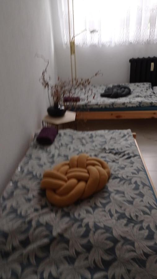 Babcares Apa Gory Izerskie Appartement Mirsk Buitenkant foto